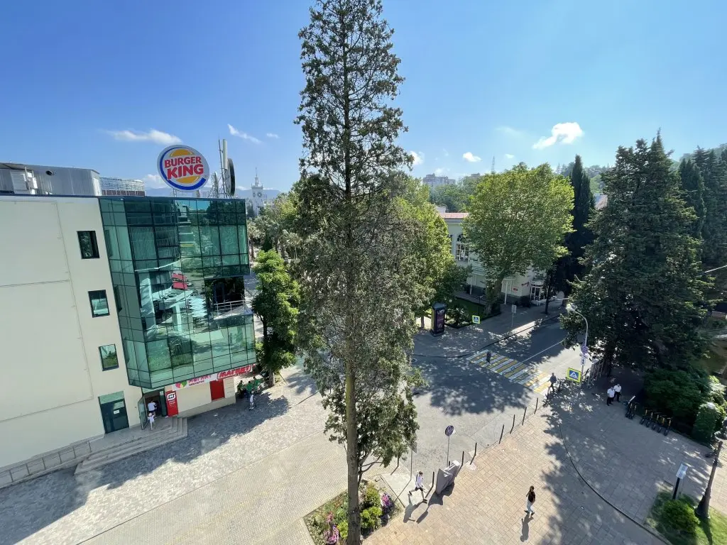 Сочи: Апартаменты на Навагинской,11 в центре