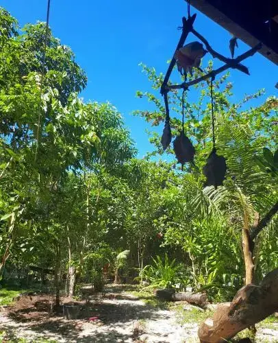 Паданг: Sumatra Ecolodge