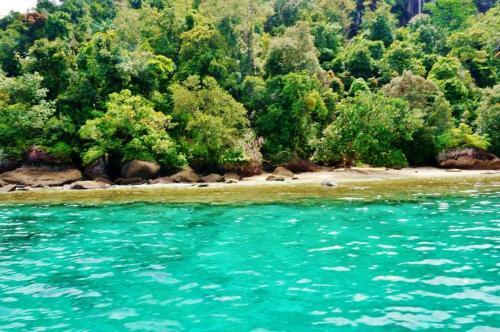 Sumatra Ecolodge — фото 1