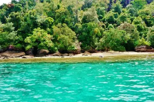 Паданг: Sumatra Ecolodge