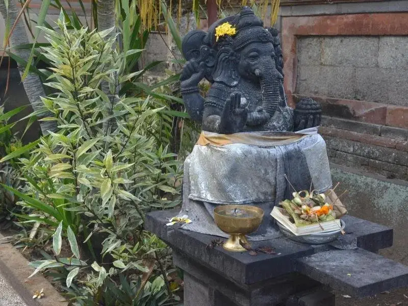 Убуд: Guesthouse Gusti Putu Oka