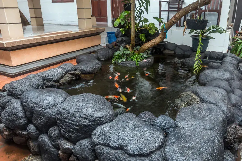 Кута: ZenRooms Seminyak Gang Rahayu