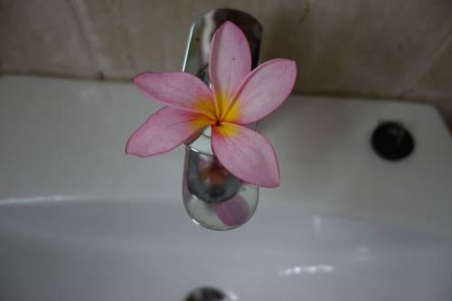Пангандаран: Bulak Laut Hotel and Resort
