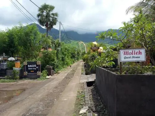 Пемутеран: Molleh Guest House