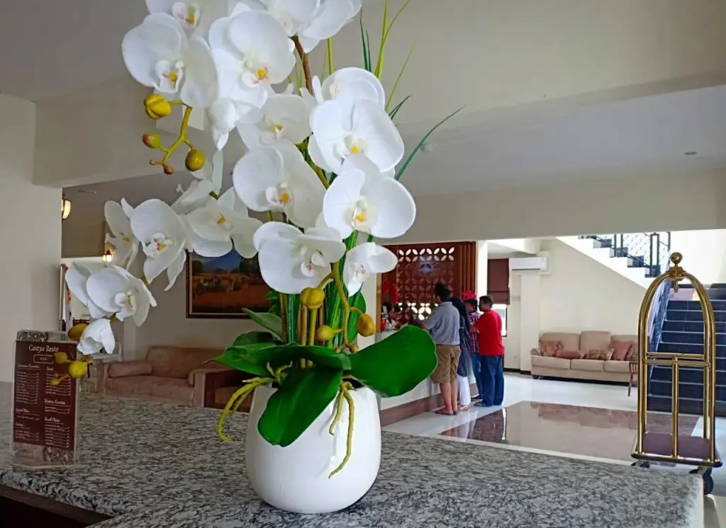 Джокьякарта: Cantya Hotel