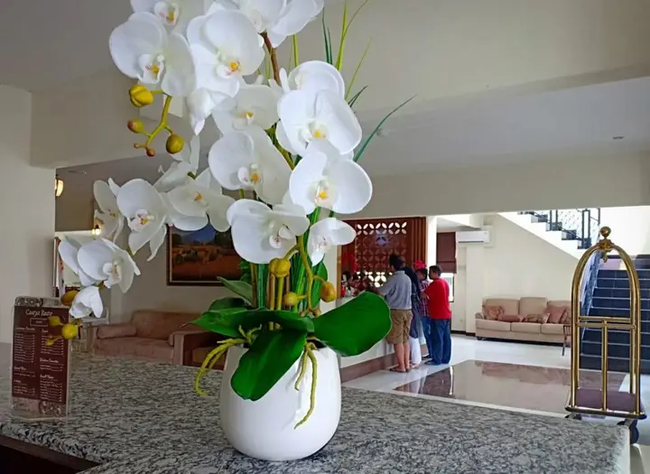 Джокьякарта: Cantya Hotel
