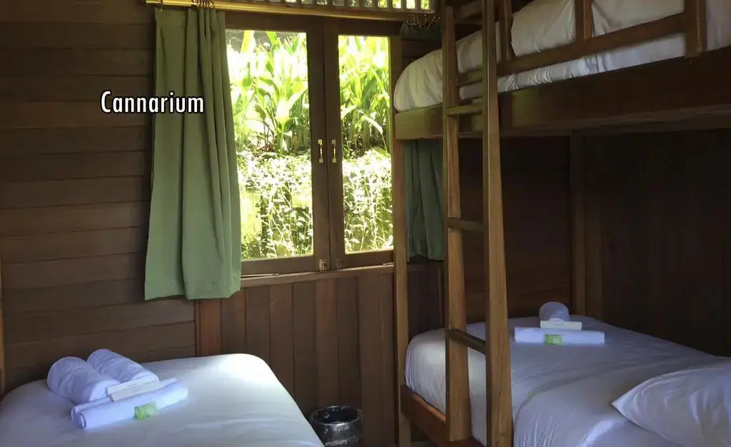 Битунг: Botanica Nature Resort