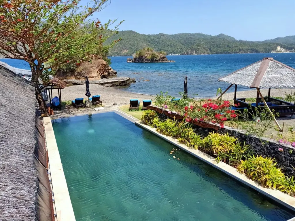 Битунг: Cocotinos Lembeh a Boutique Dive Lodge