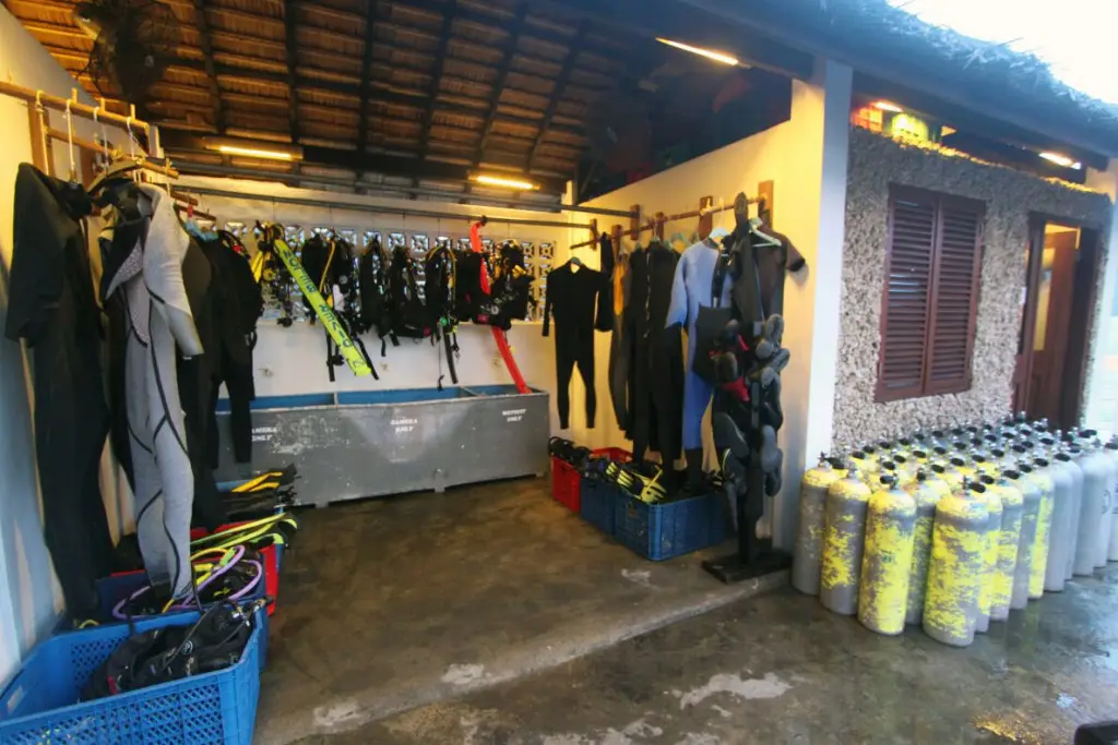 Битунг: Cocotinos Lembeh a Boutique Dive Lodge