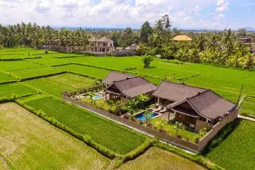 Убуд: Villa Bali Green