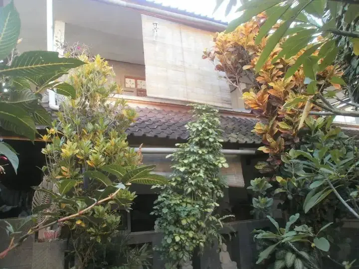 Убуд: Alamanda Accomodation