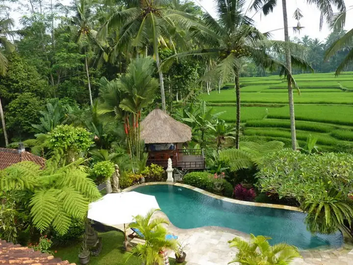 Убуд: Villa Orchid Bali