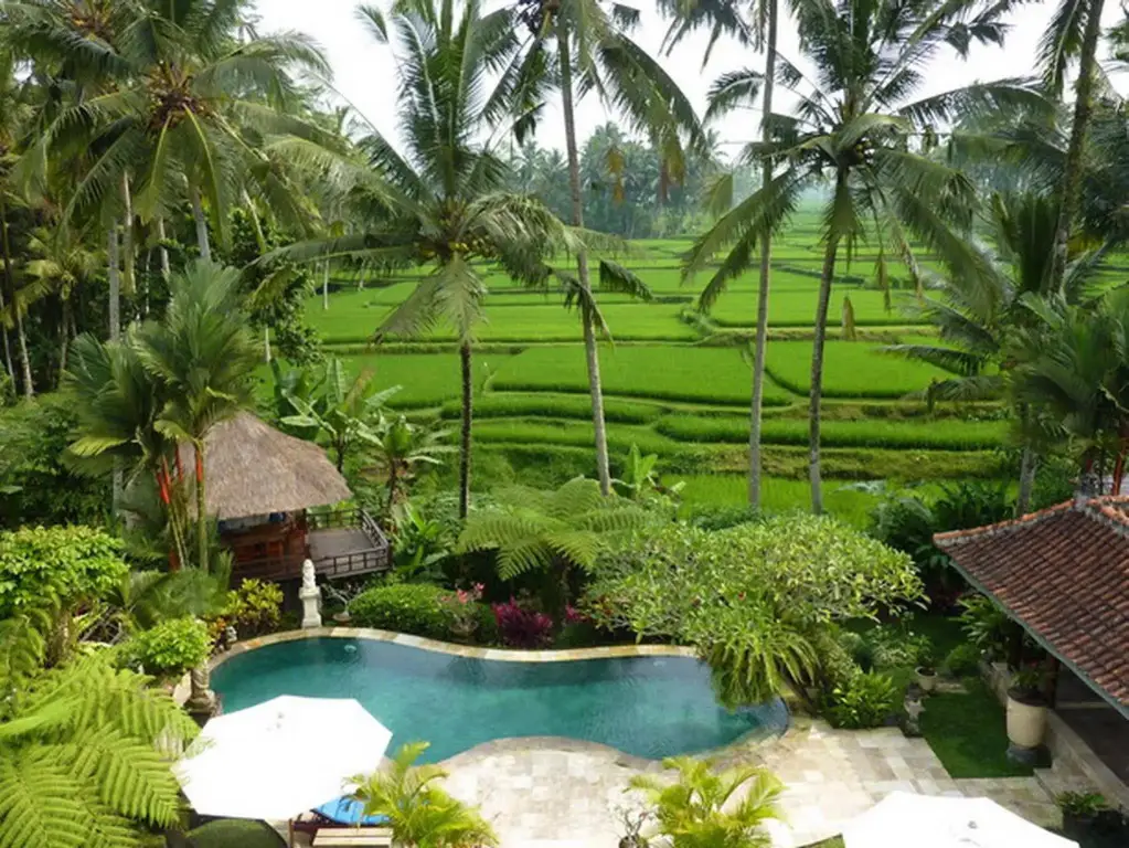 Убуд: Villa Orchid Bali
