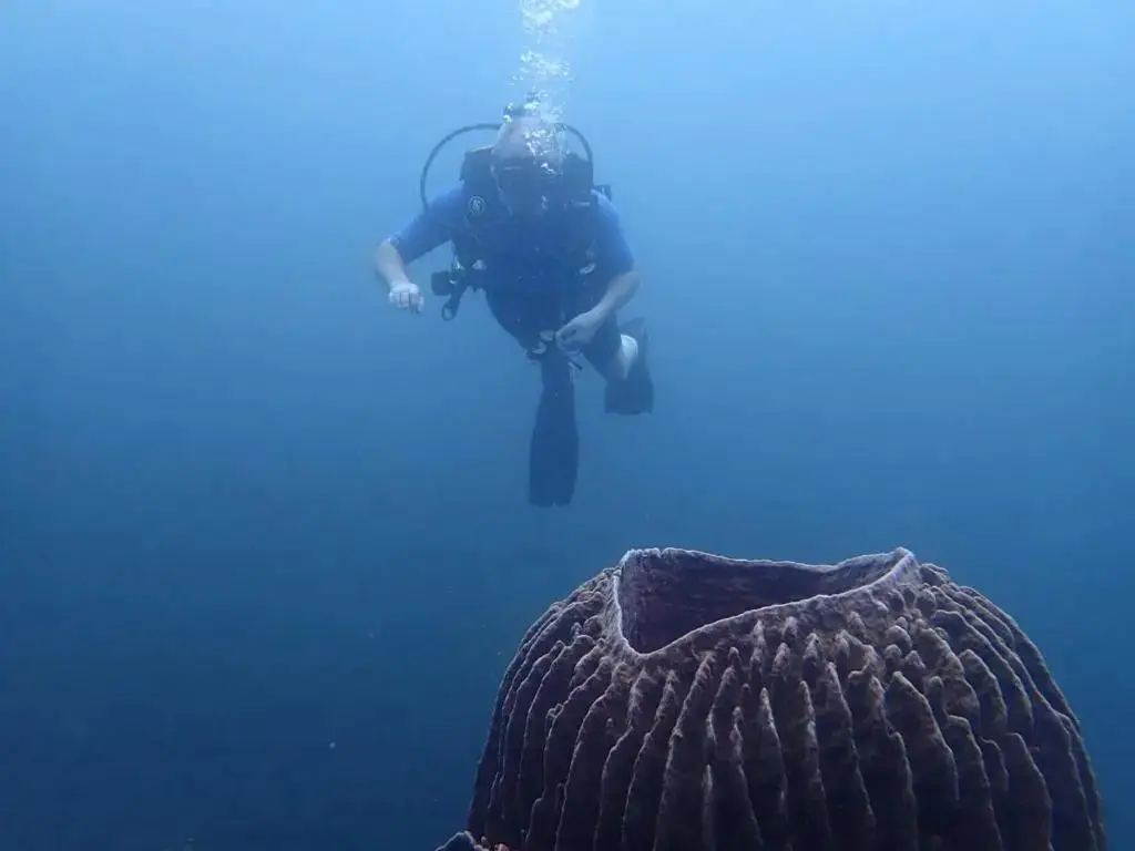 Туламбен: BlueHill Dive Resort Tulamben