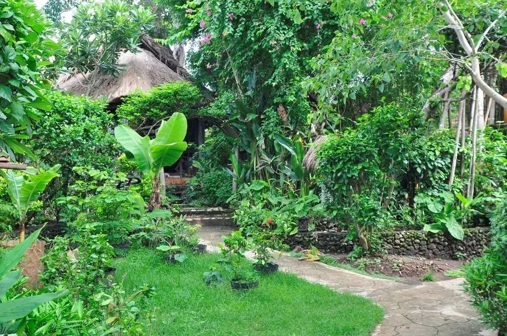 Пекату: Suara Ombak Cottages Bingin Beach Bali