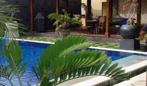 Денпасар: Bali Bacchus Villas