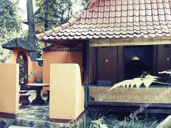Селемадег: Shankaris Bali Retreat