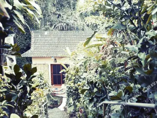 Селемадег: Shankaris Bali Retreat
