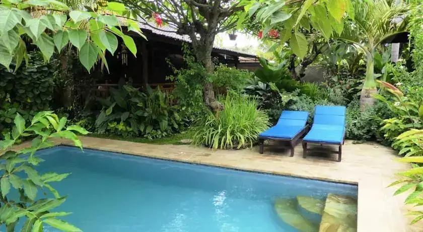 Каликбукбук: Lovina Beach Houses V