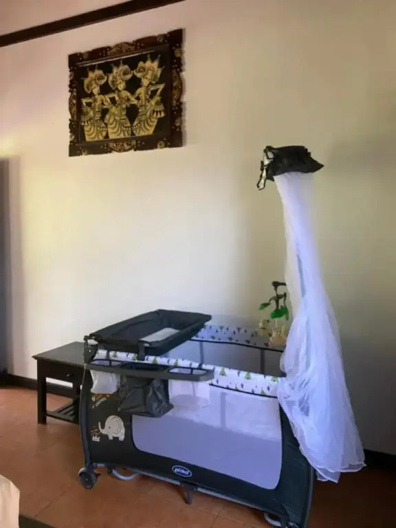 Пемутеран: Badini Homestay