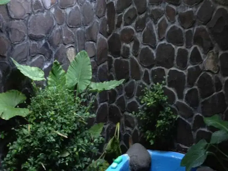 Банджар: Pondok Wisata Grya Sari Hotel