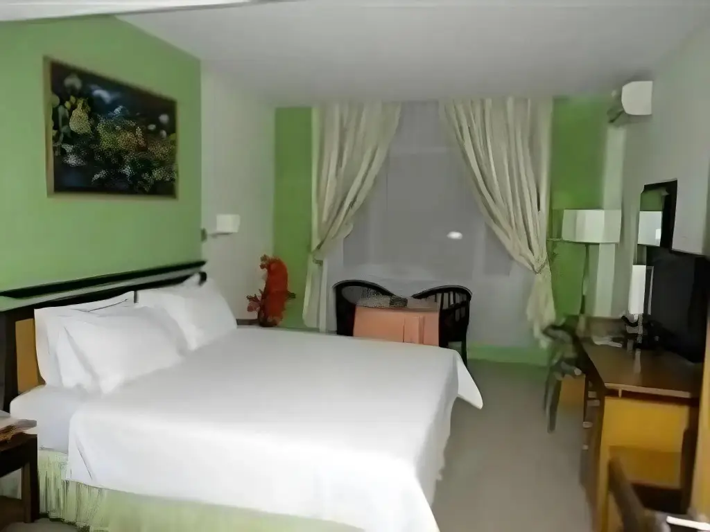 Паданг: Mariani International Hotel