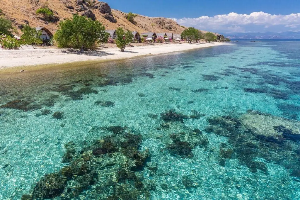 Комодо: Komodo Resort
