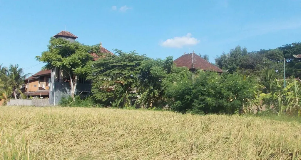 Убуд: Villa Pecatu
