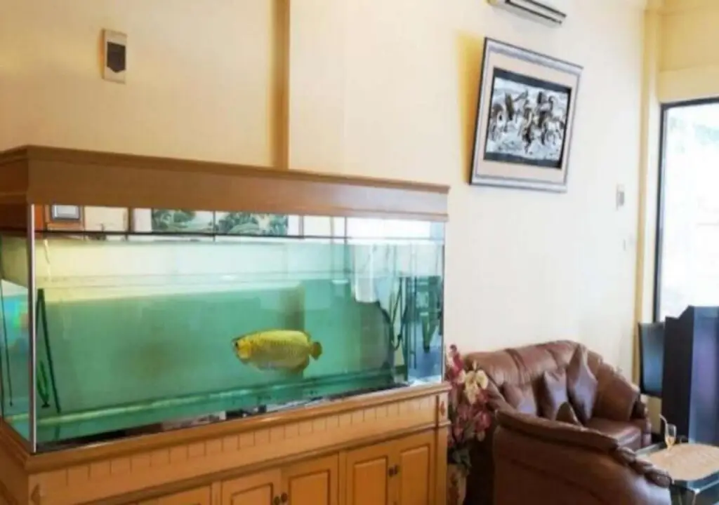 Палембанг: Graha Sriwijaya Hotel