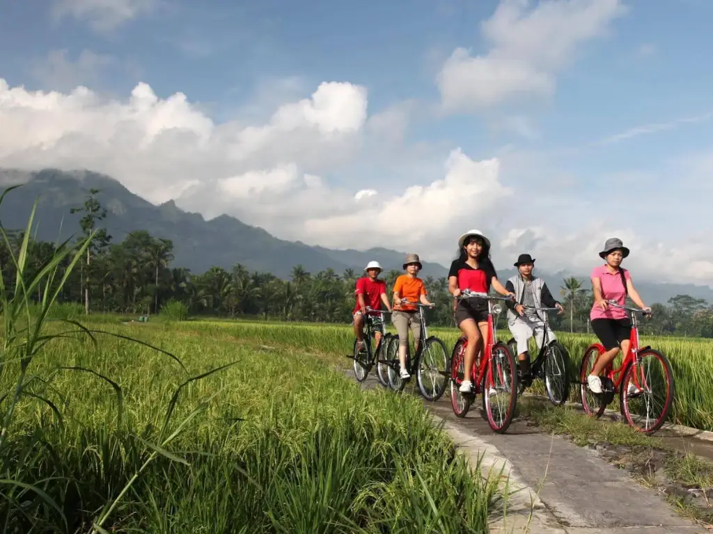 Мертоюдан: Hotel Catur Magelang