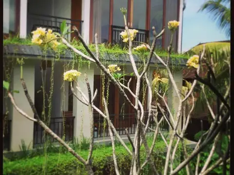 Nani House 2 — фото 1