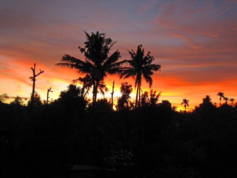 Убуд: Nyoman Murjana Homestay