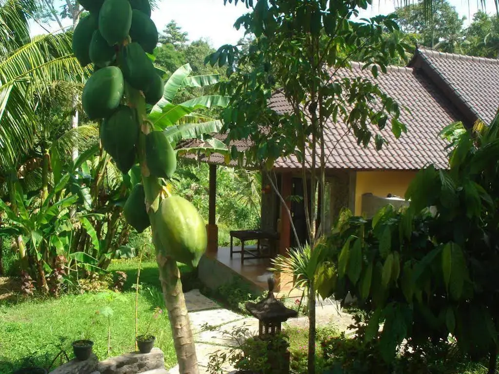 Сидемен: Khrisna Homestay