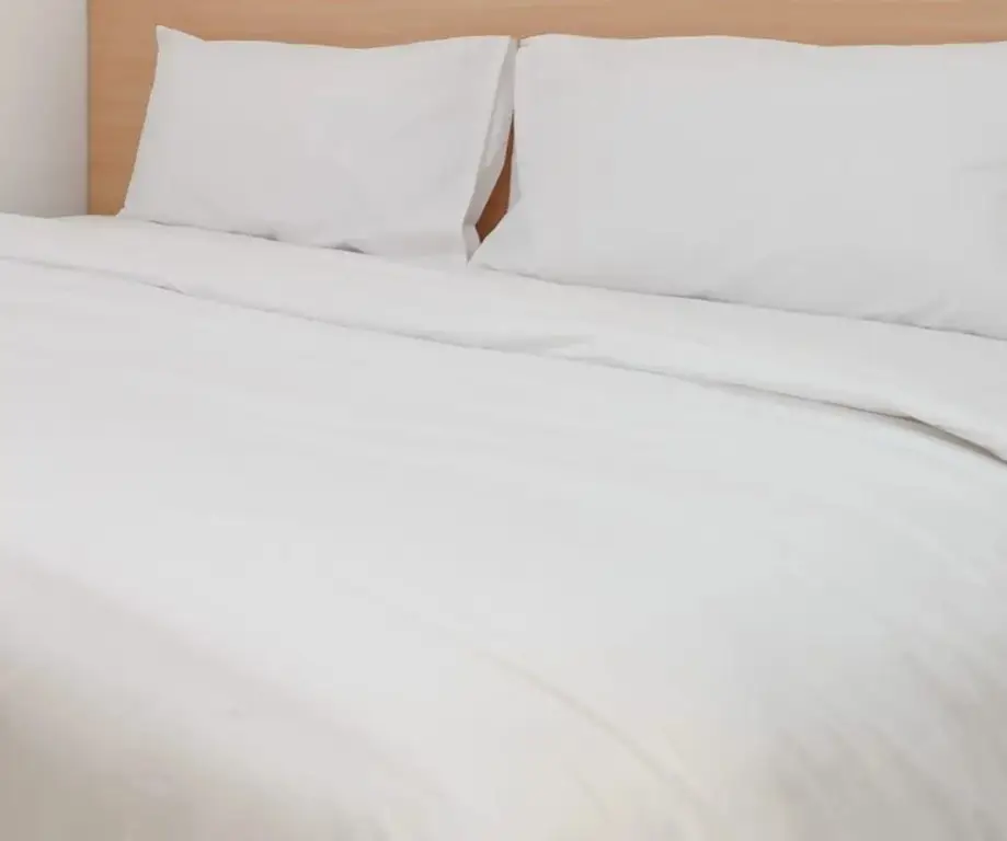 Джембер: Hotel Lestari Near Lippo Plaza Mall Jember