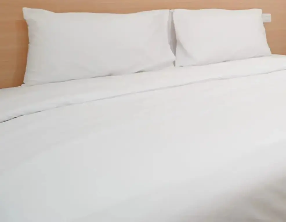 Джембер: Hotel Lestari Near Lippo Plaza Mall Jember