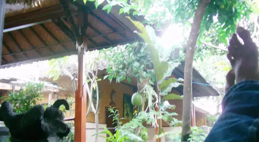 Убуд: Pondok Frog Guest House