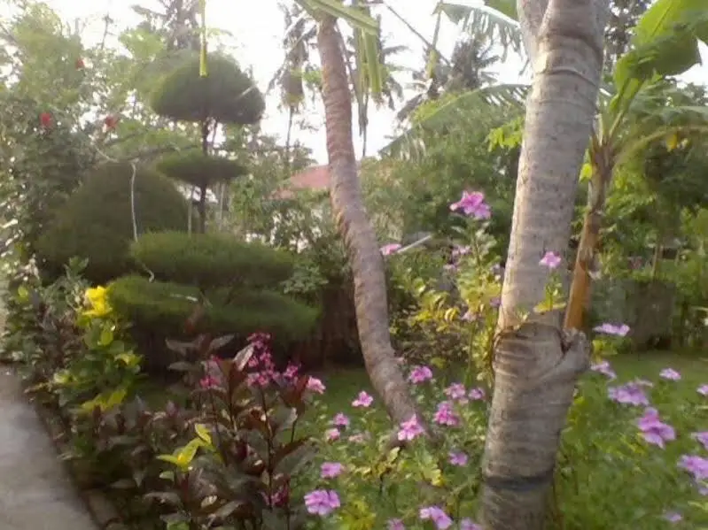 Гили-Мено: Tropicana Bungalows