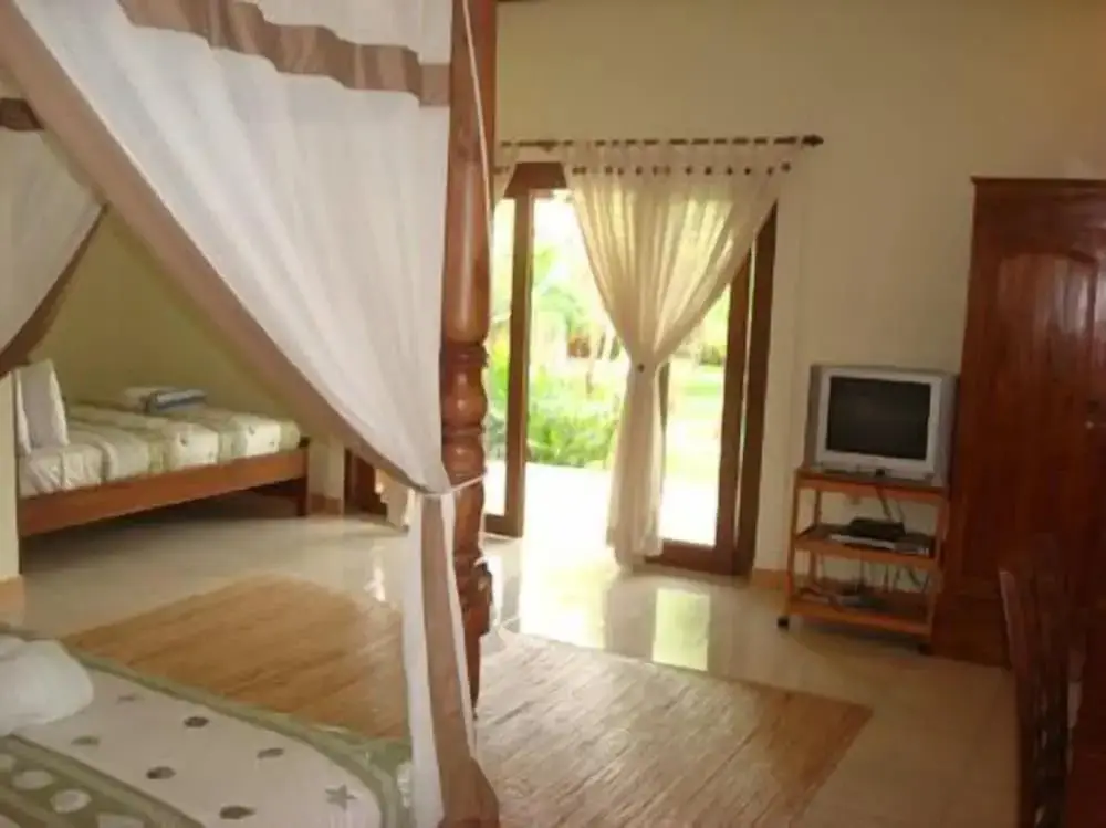 Бунутан: Pazzo Bali