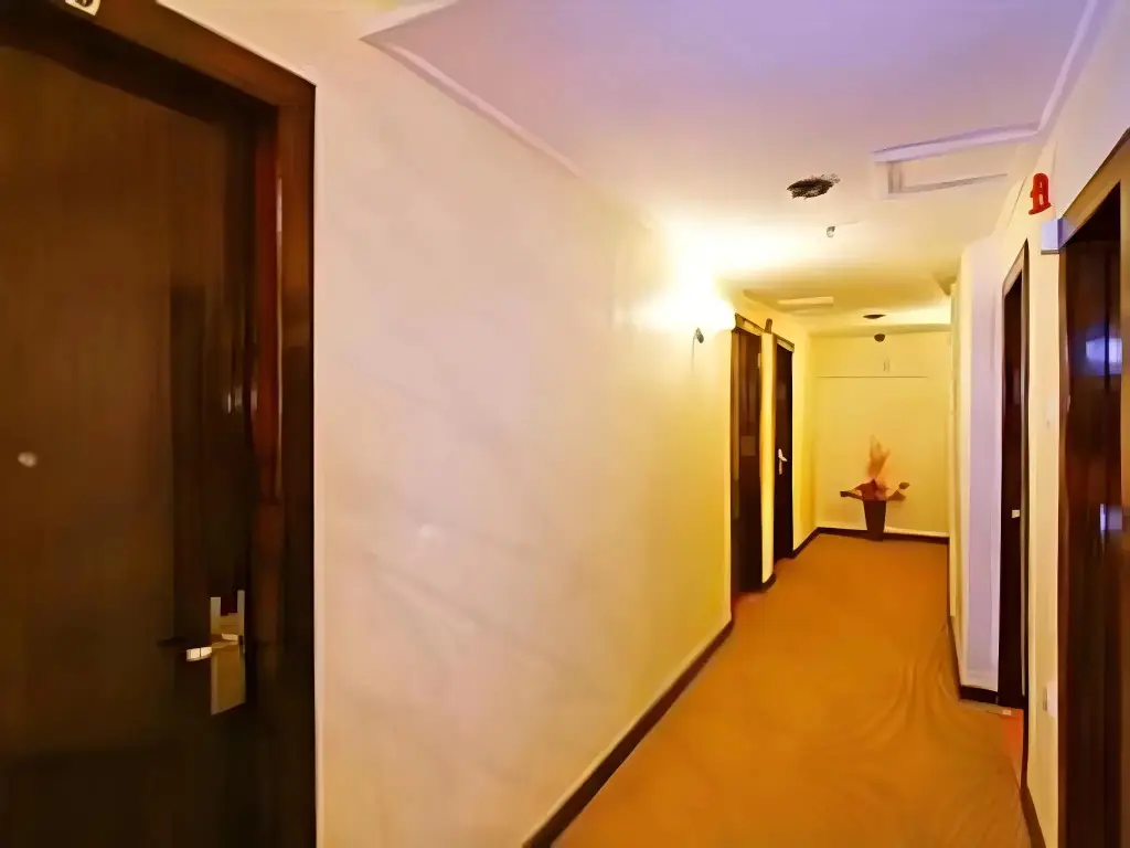 Паданг: Mervit Hotel