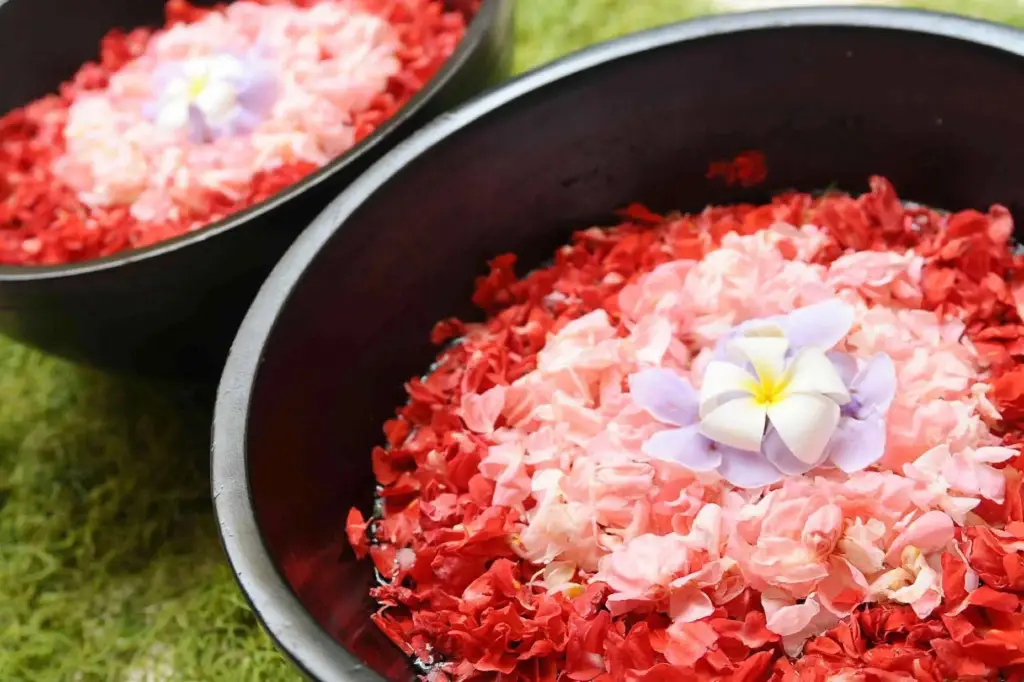 Убуд: Suara Air Resort Ubud