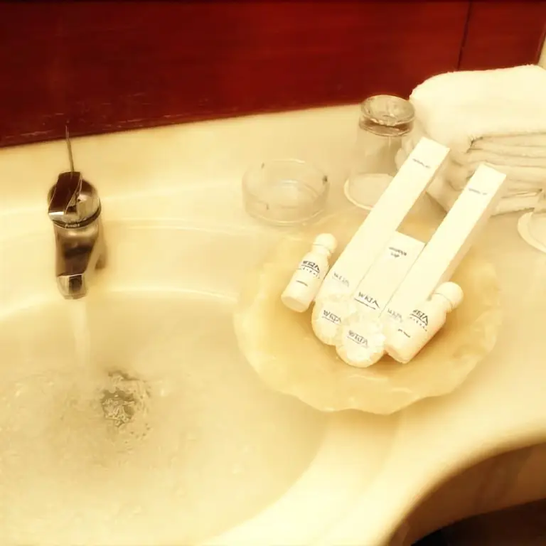Сурабая: Weta International Hotel