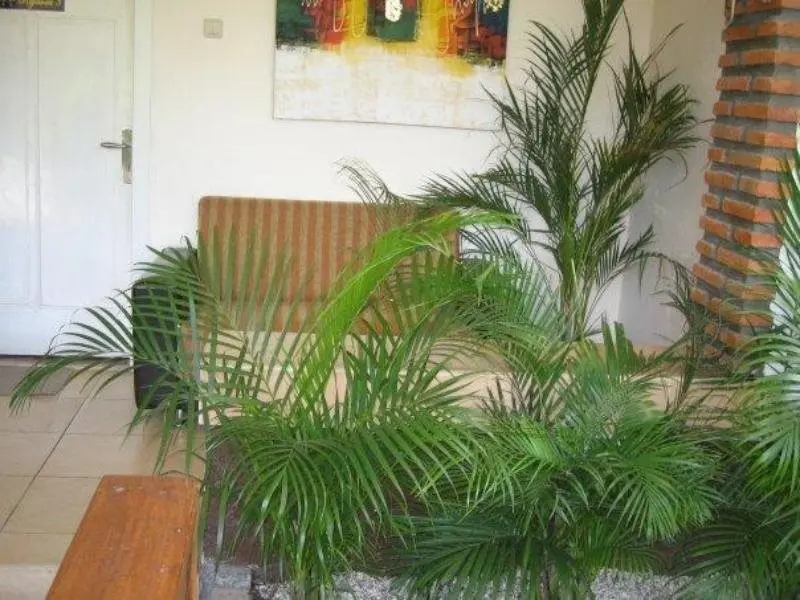Джокьякарта: Monginsidi Guest House