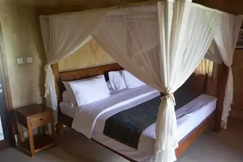 Three Monkeys Villas — фото 1