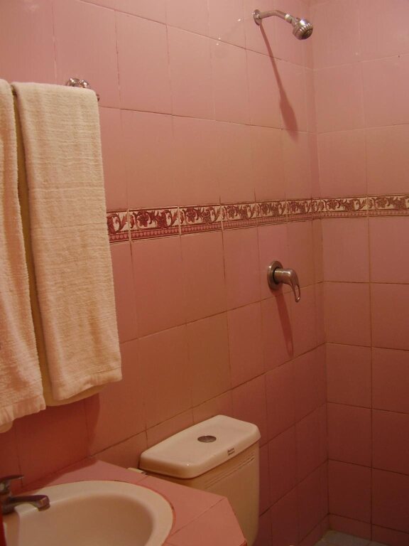 Картасура: Hotel Pramesthi Solo