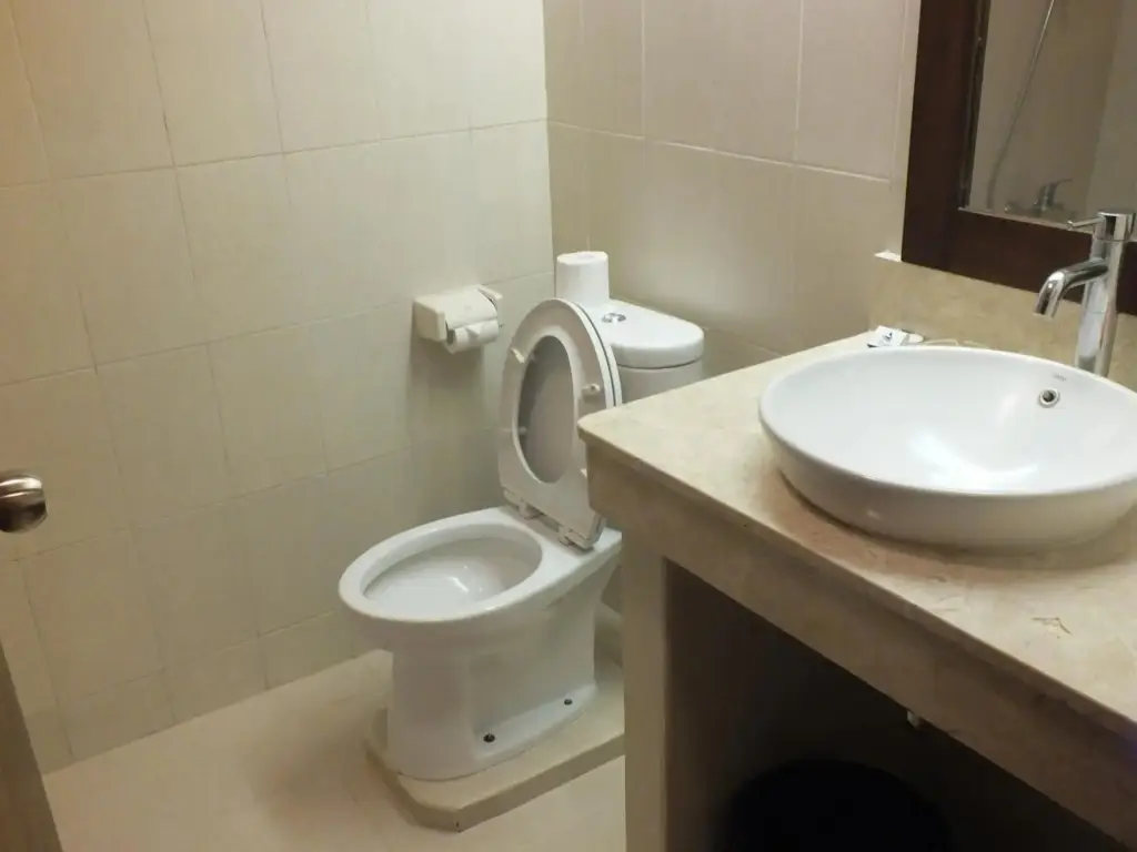 Санур: Besakih Beach Hotel