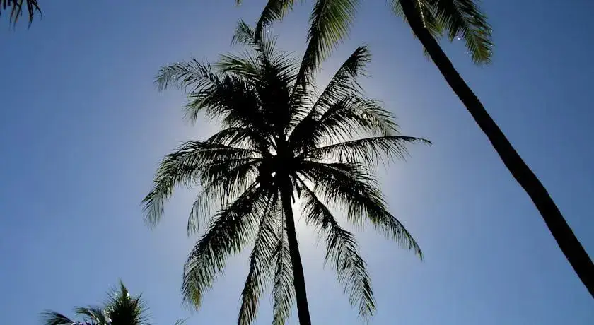 Умеаньяр: Kundalini Beach Houses
