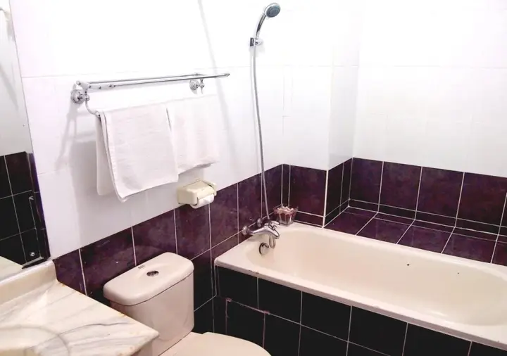 Батам: Standard Hotel