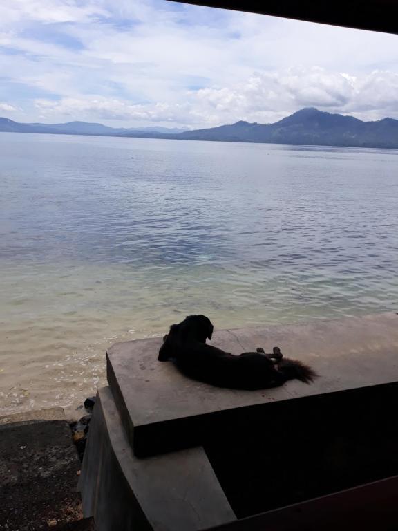 Bunaken Beach Resort — фото 1