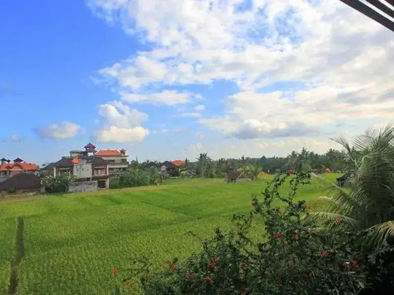 Убуд: Permana Cottages