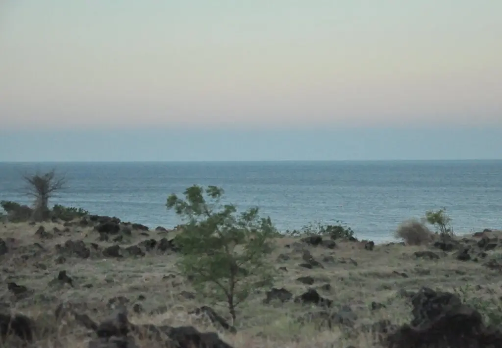 Туламбен: Tulamben Backpacker